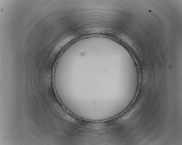 X0000062840778200601272015