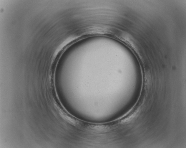 X0000062840779200601272015