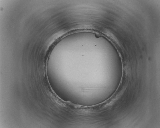 X0000062840781200601272015