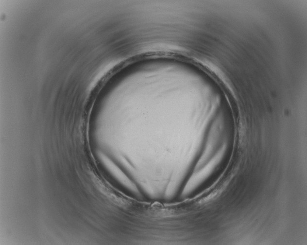 X0000062840783200601272015