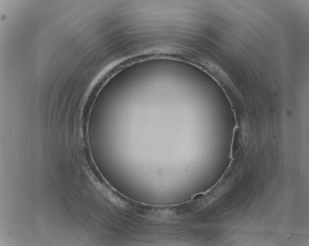 X0000062840784200601272015