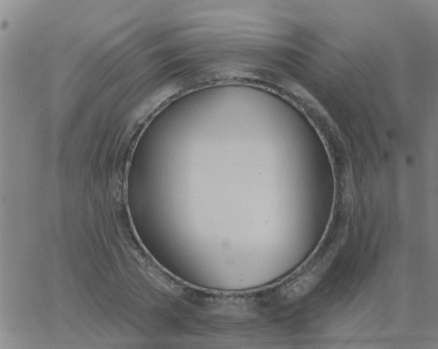 X0000062840785200601272015