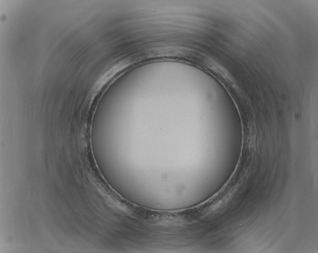 X0000062840786200601272015