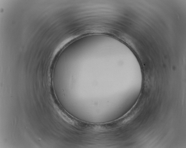 X0000062840787200601272015