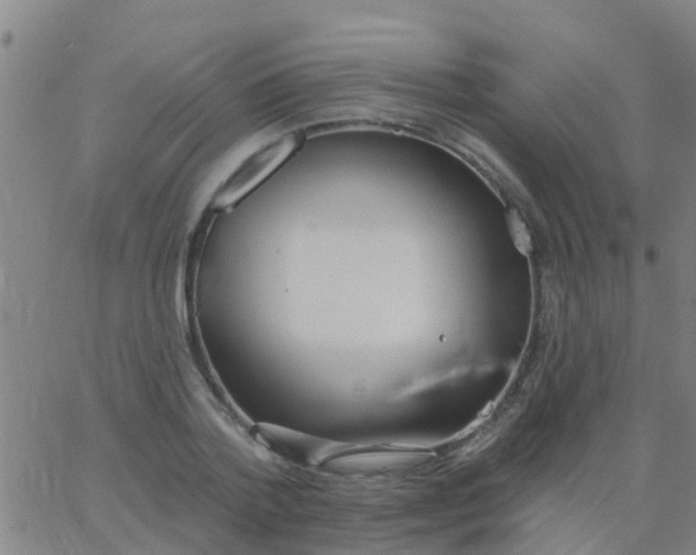 X0000062840788200601272015