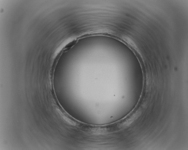 X0000062840789200601272015