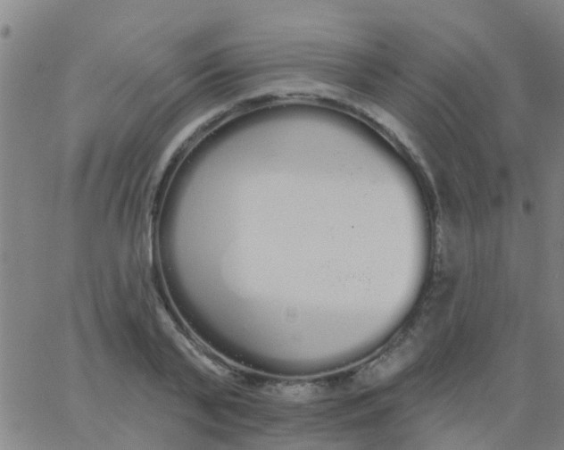 X0000062840791200601272015