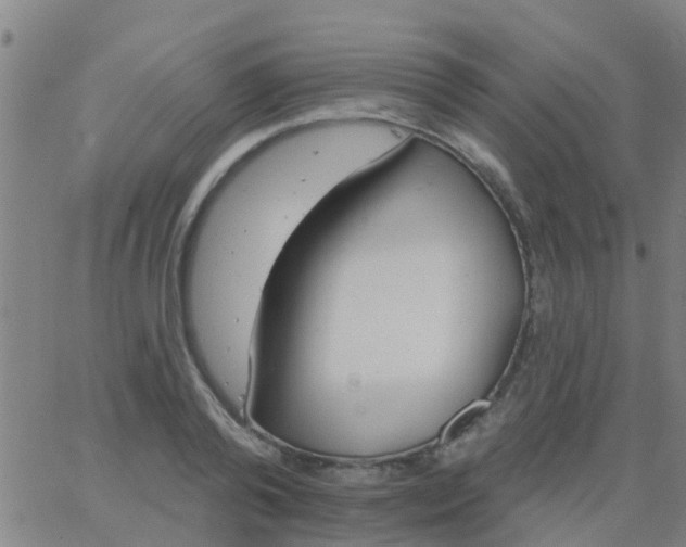 X0000062840792200601272015