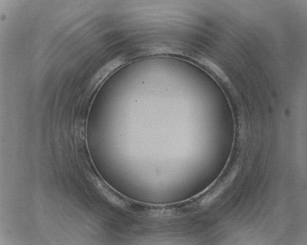 X0000062840793200601272015