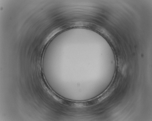 X0000062840794200601272015