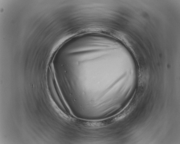 X0000062840795200601272015