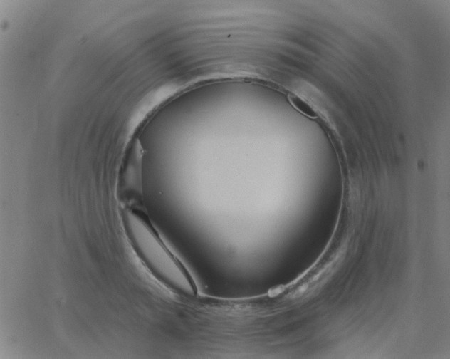 X0000062840797200601272015