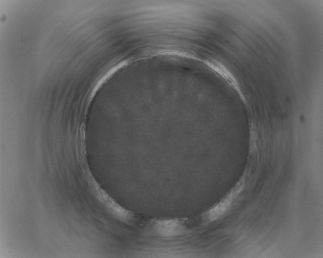 X0000062840798200601272015