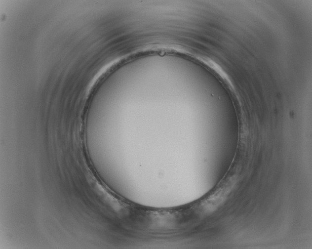 X0000062840799200601272015