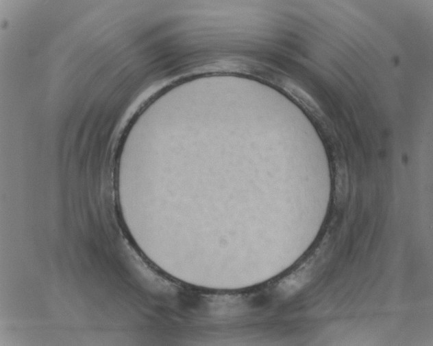 X0000062840800200601272015