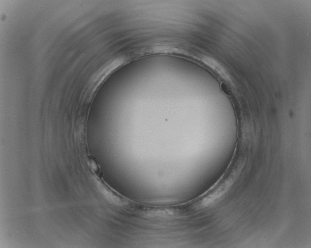 X0000062840801200601272015