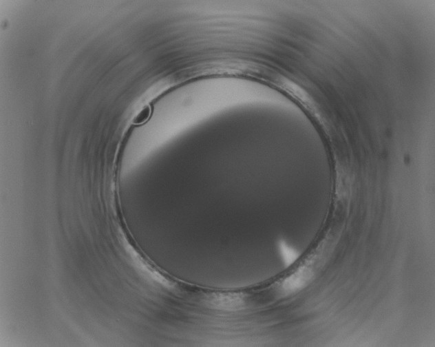 X0000062840802200601272015