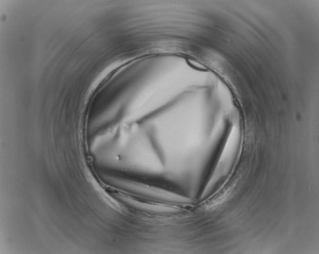 X0000062840803200601272015