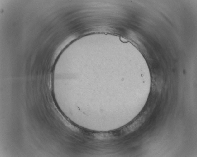 X0000062840804200601272015