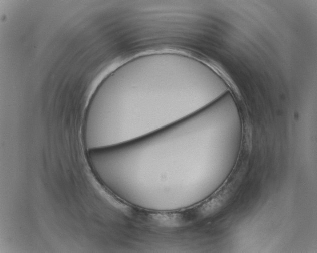 X0000062840805200601272015