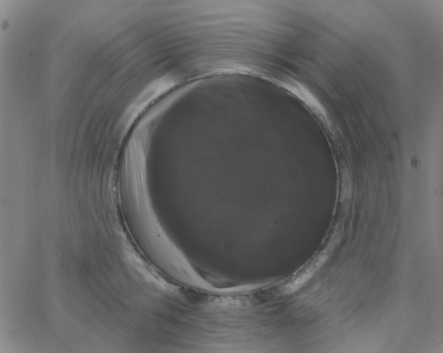 X0000062840806200601272015