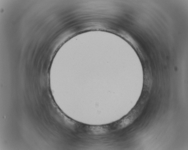 X0000062840807200601272015