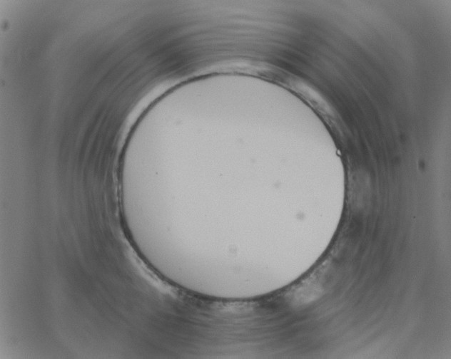 X0000062840808200601272015