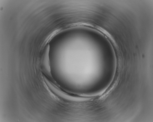 X0000062840809200601272015