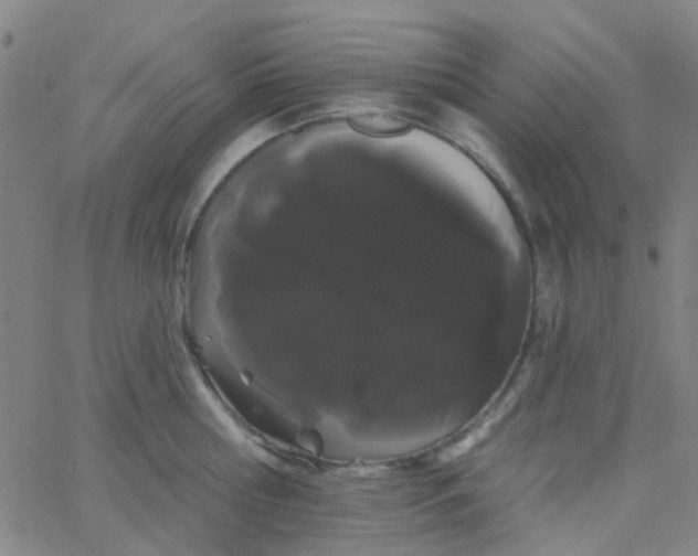 X0000062840810200601272015