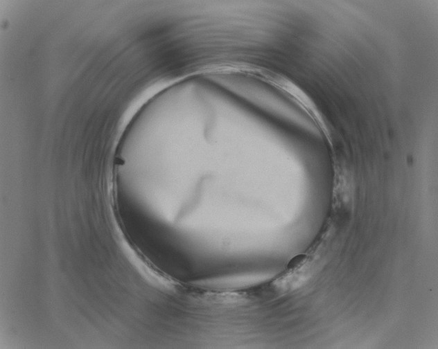 X0000062840811200601272015