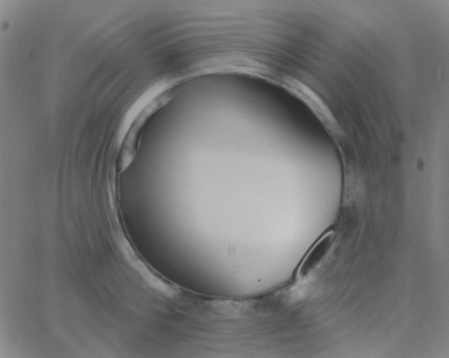 X0000062840812200601272015