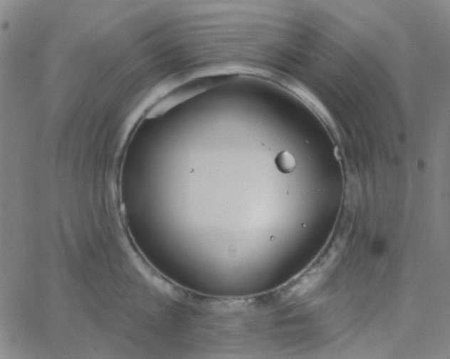 X0000062840813200601272014