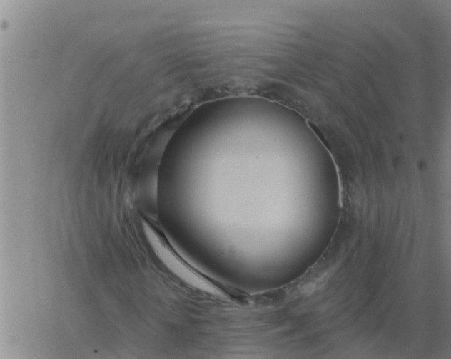 X0000062840818200601272014