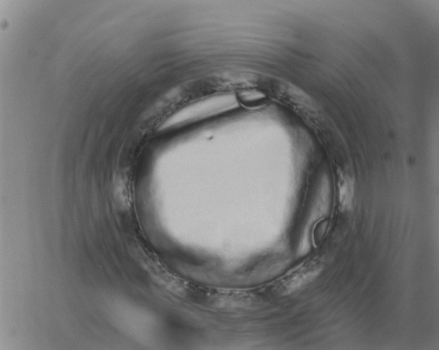 X0000062840819200601272014