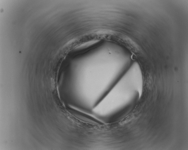 X0000062840821200601272014