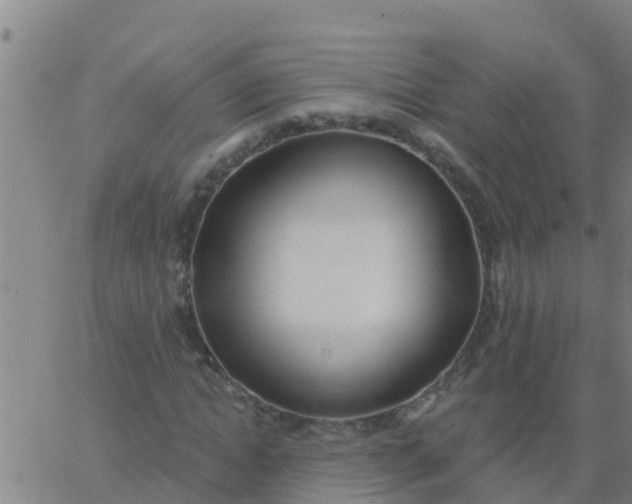 X0000062840822200601272014