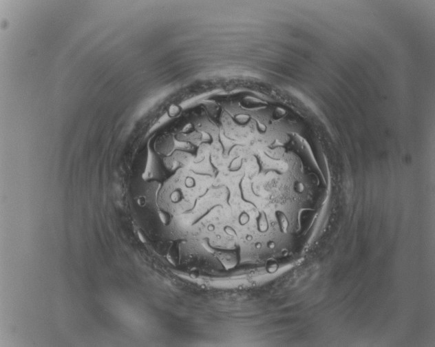 X0000062840823200601272014