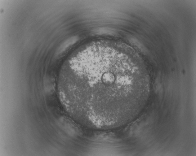 X0000062840824200601272014