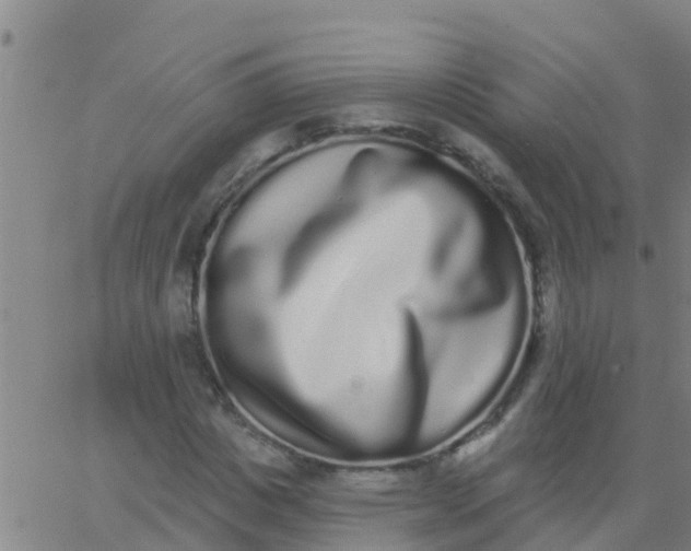 X0000062840825200601272014