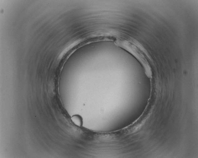 X0000062840826200601272014