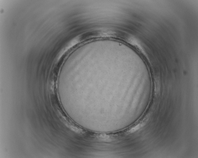 X0000062840827200601272014