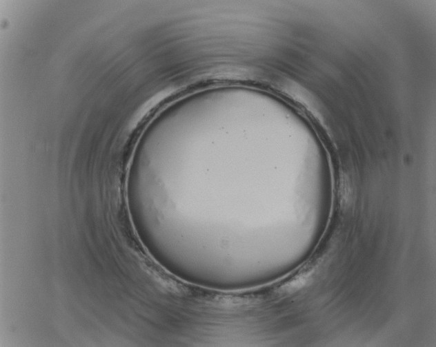 X0000062840829200601272014