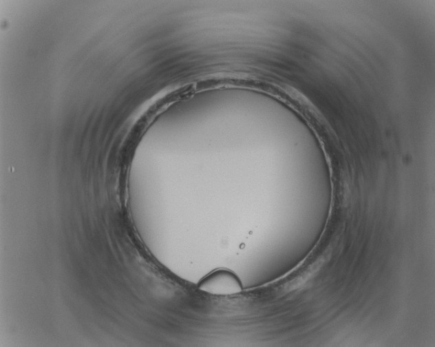 X0000062840830200601272014