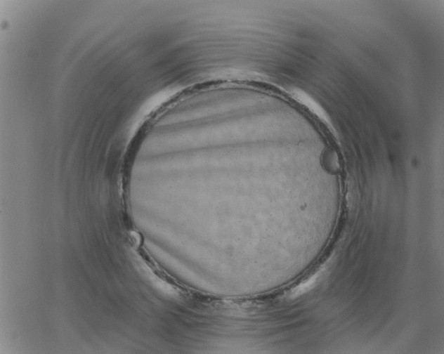 X0000062840831200601272014