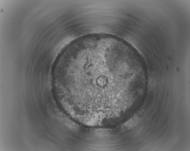 X0000062840832200601272014