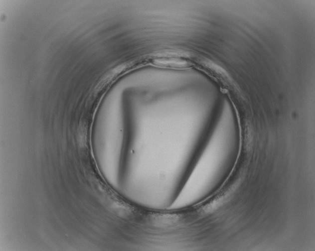 X0000062840833200601272014