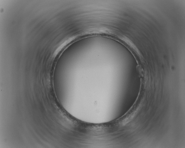 X0000062840834200601272014