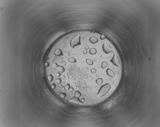 X0000062840835200601272014