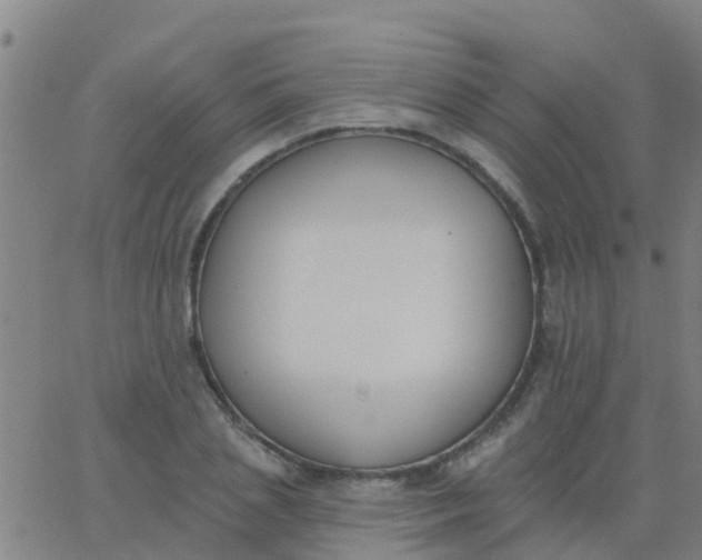 X0000062840837200601272014