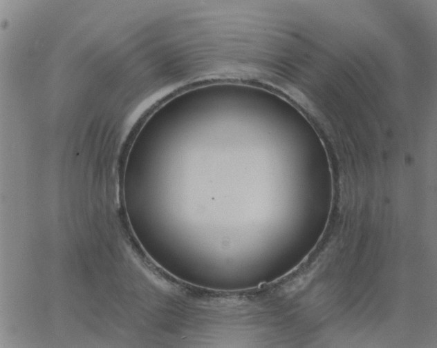 X0000062840838200601272014